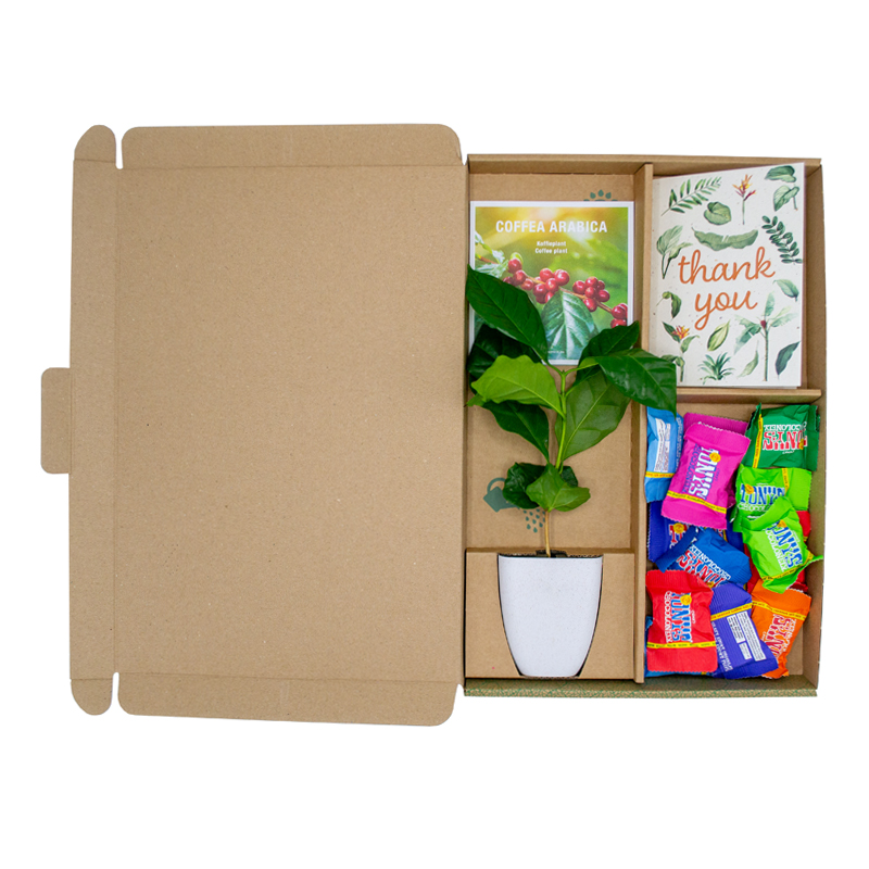 Trægave med Tiny Tony’s